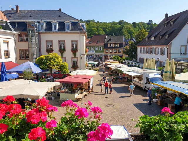 Wochenmarkt auf dem Marktplatz in Herbolzheim