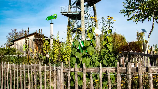 Klimawandelgarten mit Turm